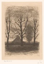 Fattoria tra alberi alti, Ewijkshoeve