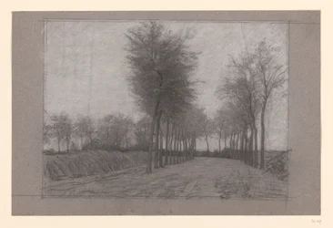 Strada di campagna con alberi su entrambi i lati