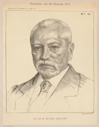 Ritratto di Theodorus Hendrik Mac Gillavry all