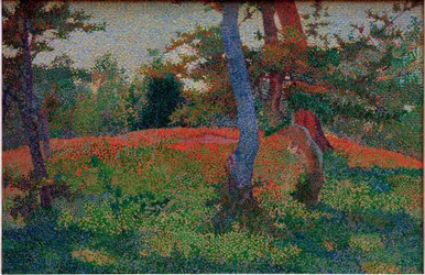 Radura nel bosco