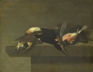 Uccelli morti