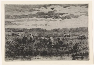 Paesaggio con pecore