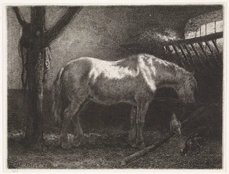 Cavallo nella stalla