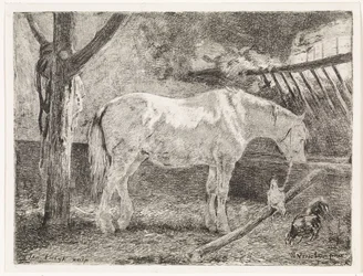 Cavallo nella stalla