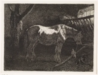 Cavallo nella stalla