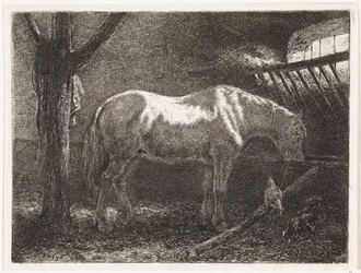 Cavallo nella stalla