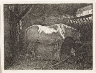 Cavallo nella stalla