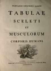 Albinus I, Pagina del titolo, da 