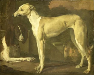 Ritratto di un levriero e di uno spaniel