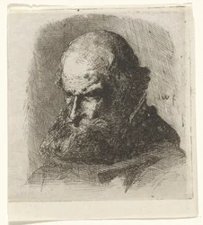 Studio di un vecchio