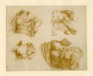 Quattro studi di torso drappeggiato.