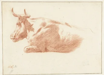 Mucca sdraiata