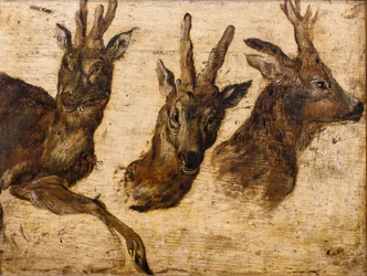 Testa di broccato (olio su tela)