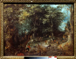 Paesaggio nella foresta