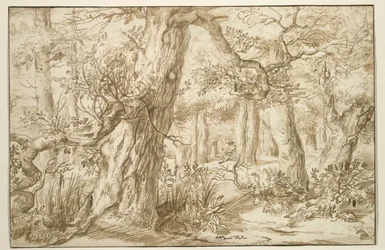 Interno della foresta con disegnatore, c.1664