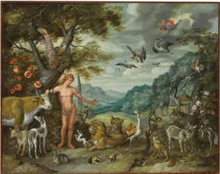 Adamo dà un nome agli animali, da La storia di Adamo ed Eva
