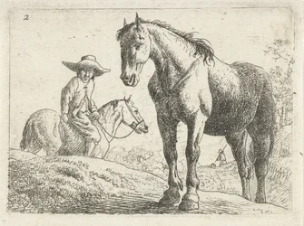 Un cavallo, un uomo a cavallo sullo sfondo