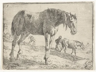 Cavallo in piedi (titolo della serie)