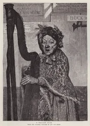 Una stella caduta
