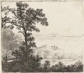 Paesaggio con albero vicino a una riva del fiume