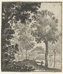 Paesaggio con grande albero in primo piano