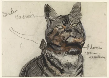 Gatto, con annotazioni di colore