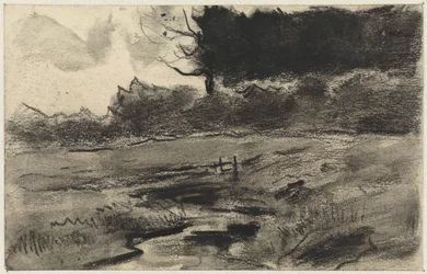 Paesaggio con bordo del bosco e acqua