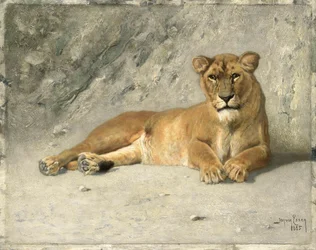 Leonessa a Riposo