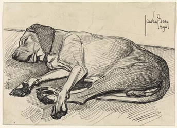 Cane dormiente, verso sinistra