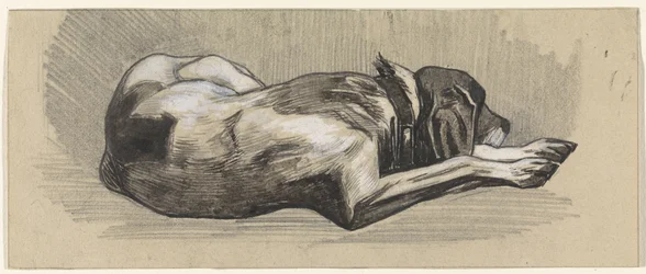 Cane dormiente, verso destra
