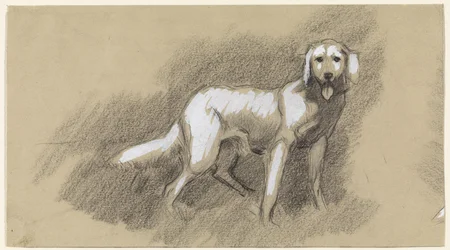 Cane in piedi