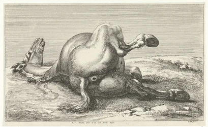 Cavallo caduto