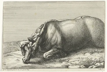 Cavallo caduto visto dal lato sinistro