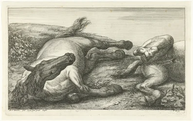 Due cavalli caduti, di cui uno visto di fronte