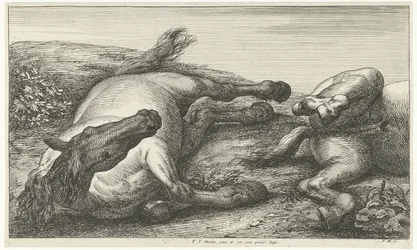 Due cavalli caduti di cui uno visto di fronte Cavalli caduti (titolo della serie)