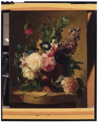 Natura Morta di Fiori