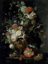 Immagine sconosciuta