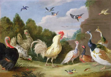 Paesaggio boscoso con un gallo, un tacchino, galline e altri uccelli, XVII secolo