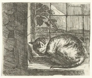 Gatto sul davanzale