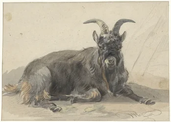 Caprone nero sdraiato