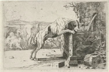 Cane presso una fontana