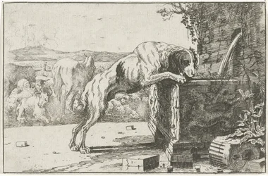 Cane presso una fontana Dieren (titolo della serie) Zoographiam (titolo della serie)