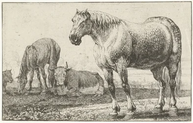 Cavalli e mucche
