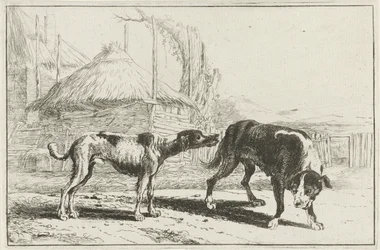 Cane maschio e femmina (serie Zoographiam)