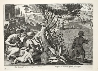 Caccia alla quaglia, illustrazione da 