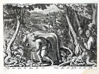Caccia agli storni e pernici, illustrazione da 