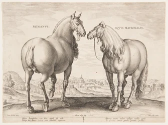 Un cavallo romano, dal primo set di "Equile Joannis Austriaci"