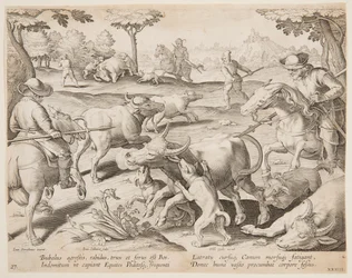 Caccia al Bufalo, tavola 27 della serie Venationes Ferarum, Avium, Piscium