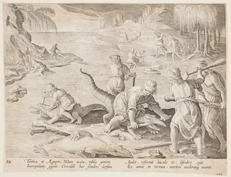 Caccia al coccodrillo a Tentyra, in Egitto, tavola 30 dalla serie Venationes Ferarum, Avium, Piscium