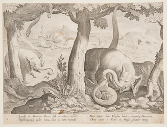 Combattimento tra elefanti e serpenti, tavola 2 dalla serie Venationes Ferarum, Avium, Piscium